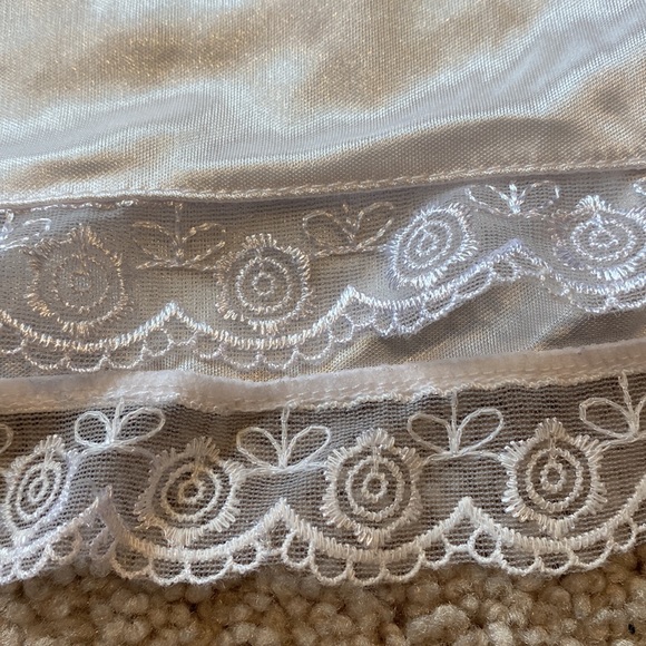 Slip skirt - Picture 3 of 5